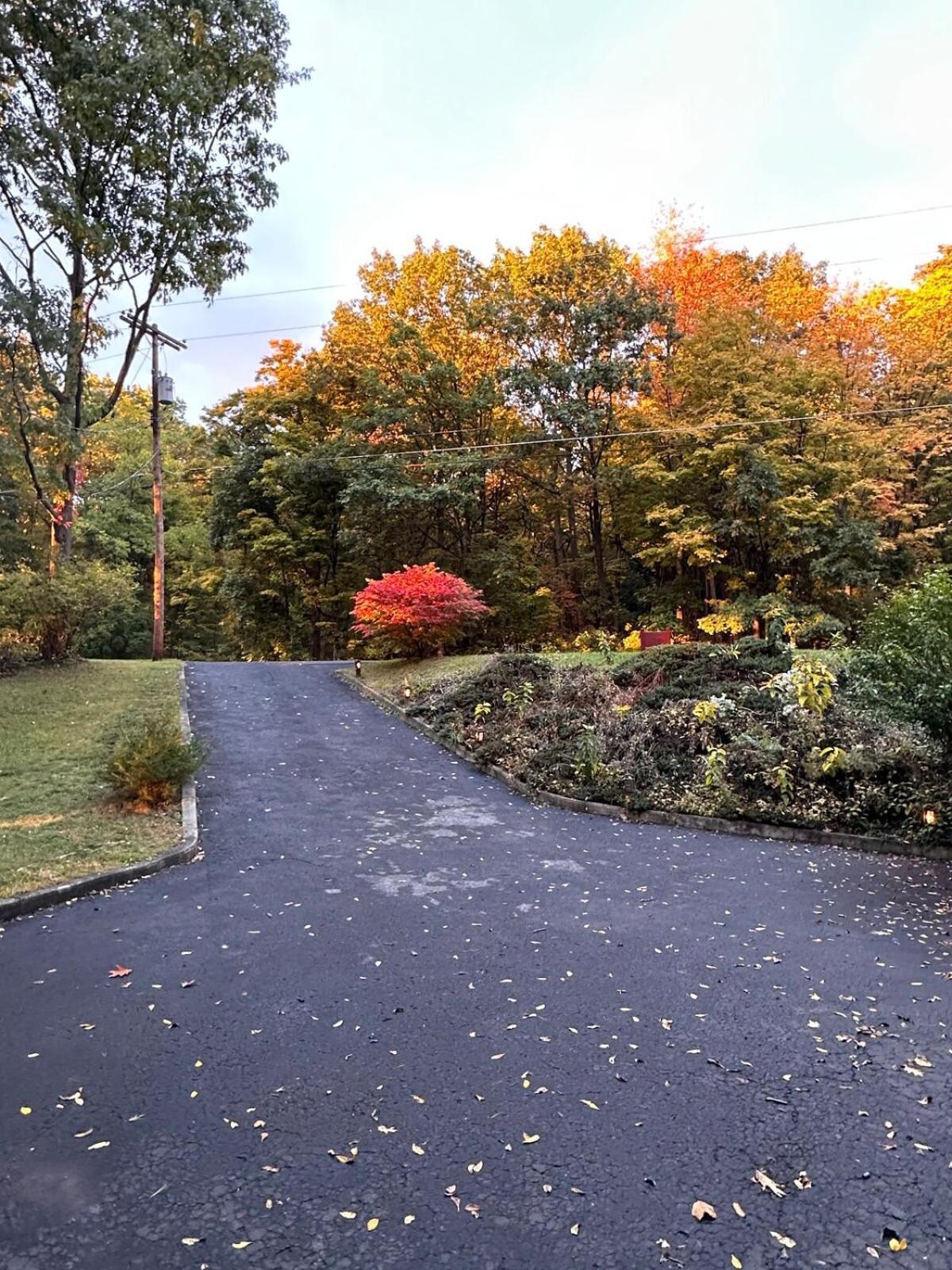 Cayuga Lake Cottage With Private Lake Access Washingtonville المظهر الخارجي الصورة